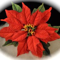 Poinsettia This is my first gumpaste Poinsettia. I made it for a December Birthday Cake.