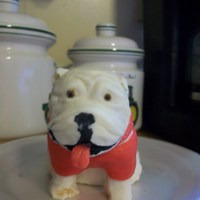 Bulldog With Cellulite only about a 1/3 done with this