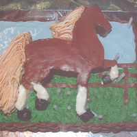 Bailey's Birthday Cake American Saddlebred horse made of Cake and BC (2 inches high) and two-layer 9x13 under, with BC grass and basket weave.