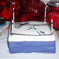 Wrestling Ring Mother bought child a wrestler to go inside.