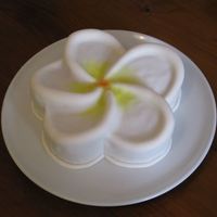 Frangipani Cake Dark choc mud cake covered in fondant.