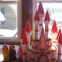 Princess Castle A castle with flowers all around, and three princess'. I made aerial to the best of my ability and Belle also. And then the purple...