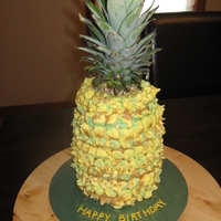 Pineapple Pina Colada Cake This is my first attempt at a carved cake (didn't turn out too well :) This was a WASC pineapple cake with coconut frosting and...