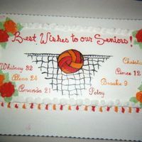 Volleyball Recognition Cake This cake was to recognize the senior girls on the volleyball team. I painted the lines and ball on as well as the names. The names are...
