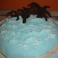 Tropical! Dark and white chocolate filling, decorated with whipped cream and chocolate palms. Hidden behind the palms is the number 30 because I didn...