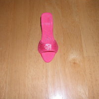 Pink Shoe I used fondant and gum paste to make this shoe. For the carnation on the front of the shoe I used a Wilton icing tip. I dusted it with pink...