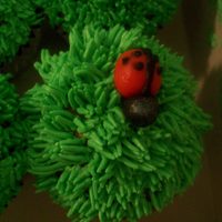 Fun Ladybug Cupcakes For My Niece's 2Nd Birthday These were ladybug cupcakes for my niece's 2nd birthday. I used the grass tip for piping & used homemade modeling chocolate to...