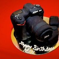 Camera Cake mock cake covered with fondant