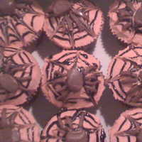 Spider Cupcakes Made these for a friend having a halloween party at work, i am pretty proud of them! the spiders are tootsie rolls flatted out and cut. TFL...