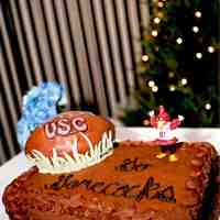 Carolina Gamecocks Groomscake A groomscake for a Gamecocks fan. Cocky is a Christmas ornament. The rest is all cake. This isn't the greatest picture, but it's...