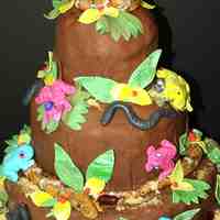 Jungle Boogie Three tiers, 14" 10" 8" of marble cake with french vanilla/graham cracker filling, french vanilla cake with oreo cookie...
