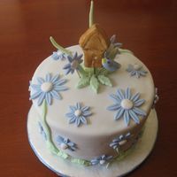 Bird House Birthday Cake 3 layer cake covered with fondant. Fondant decorations as well