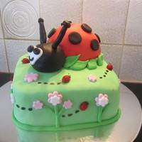 My Daughters Lady Bug Birthday Cake Botton tier was 3 layers that consisted of banana walnut on top and bottom and a vanilla sponge threw the centre. The Lady bug was a...