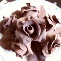 Modeling Chocolate Roses my first try at modeling chocolate