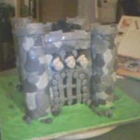Castle Cake made for my son's fifth b'day. original idea from Debbie Brown cakebook.
