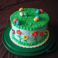 Easter Cake This a cake I made for Easter. WASC with raspberry filling. Ididn't have a grass tip so I had to improvise. I saw a similar cake in a...
