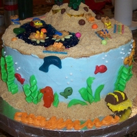 Sea Adventure Cake 