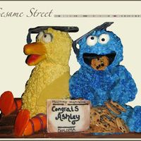 Sesame Street This cake caused some challenges for me. I made it before I learned how important using a firm cake for sculpting was. The cake I used for...