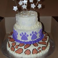 Jags Party This is for my daughter's cheerleading team. They had a send off party before they went to Nationals.