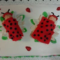 Twin Lady Bug Babies Made for a mom having twin girls with a lady bug/garden theme for the shower. Cake is vanilla with buttercream icing. Flowers, babies, lady...