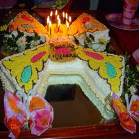 Butterfly Cake With a rectangular cake cut a piece on the top border of the cake to make the body (__) , then the rest of the cake cut in in an ( X ) and...