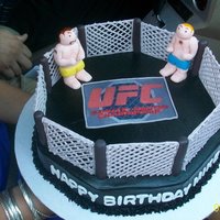 Cage Fighting Chocolate cake with butter cream icing. Octagon shape is hand carved. Fence around cake is made out of royal icing. Poles, fighters,and...