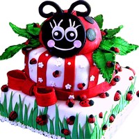 65 Ladybugs! My sister's birthday cake. It had 65 ladybugs (Safer than 65 candles!) Ladybugs are 50/50 fondant gumpaste. Big ladybug is done with...