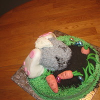 Easter Bunny Cake Vanilla cake w/ vanilla frosting. Bunny body and feet are RKT. Carrots and beans are MMF. Thanks to this-mama-rocks for the inspiration for...