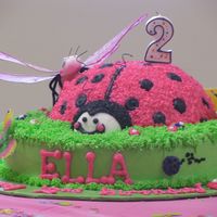 Lady Bug Lady bug cake body is ball pan and icing is all BC. I found these great butterflies and dragon flies at family dollar for accent pieces on...
