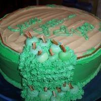 Caramel Apple Cake White cake infused with Sour Apple candy flavoring with Caramel frosting between each layer and sour apple icing on the side. Gum paste...