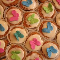 Modulescopperminealbumsuserpics674726Img 4144Jpg 