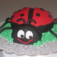 Ladybug Cake My first attempt with fondant. Was a lot easier to work with than I had expected. The cake is a butter cake with buttercream icing covered...