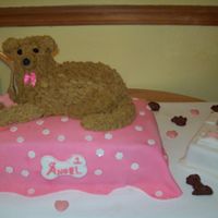 My Puppy's 1St Birthday My puppy turned 1 on January 1st. We call her our "New Year's Baby" We decided to have a little party for her and thanks to...