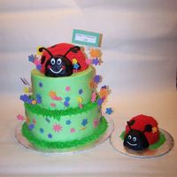Ladybug Garden The was for a pinic 1st birthday. Buttercream icing with fondant flowers.