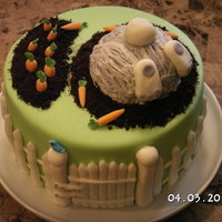 Diging For Carrots My first Easter cake I made with my daugther. Chocolate cake with a white chocolate coconut frosting.