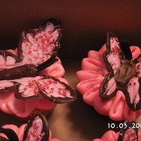 Butterfly Cupcakes The butterflys are hand made with chocolate and the antenas are licorice.