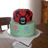 Lady Bug Cake 