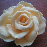 Open Rose Hmm, my first try. I thing it turned out ok.It's made in FP