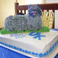 Dscf2443.jpg University of Kentucky wildcat birthday cake. I used the lamb cake and adapted it into a wildcat.