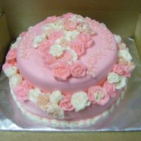 Dscf2067.jpg Pink with shades of pink cabbage roses