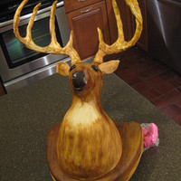 Deer Mount Cake 