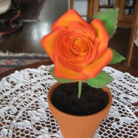 Jennifer Dontz Roses I made these roses for some friend's bdays. The rose was made following Jennifer Dontz DVDs. They are very simple to make if you get...