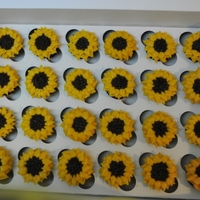 Mini Sunflowers Made 50 of these for an engagement party. Pumpkin spice cake with cream cheese icing.