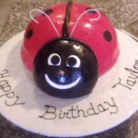 Red Ladybug 3D ladybug cake. I used a soccer ball pan for the body, and modified wilton sports ball pan for the head. Cake covered in red & black...