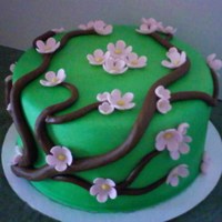 Blossom Branch Cake Just had to do a pretty cake. I have always wanted to do a branch cake with blossoms and I really liked the way it turned out. Hope you do...