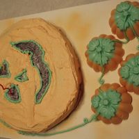 Pumkin Cake Pumpkin cake and candy for son's 12th birthday.