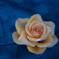 My Glenda Galvez Rose I was able to take a Glenda Galvez rose class and this was my full rose. I actually broke my bud and half-open rose before I could get...