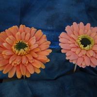 Glenda Galvez Gerber Daisies From a class w/Glenda Galvez. Loved making the daisies