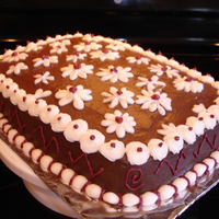 Daisy, Daisy... Chocolate cake w/ Chocolate cream cheese icing and cream cheese icing