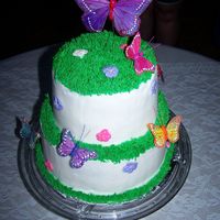 Butterfly Cake This cake was for a co-worker's daughter's 17th bday. She loves butterflies. This was my first sale! :)